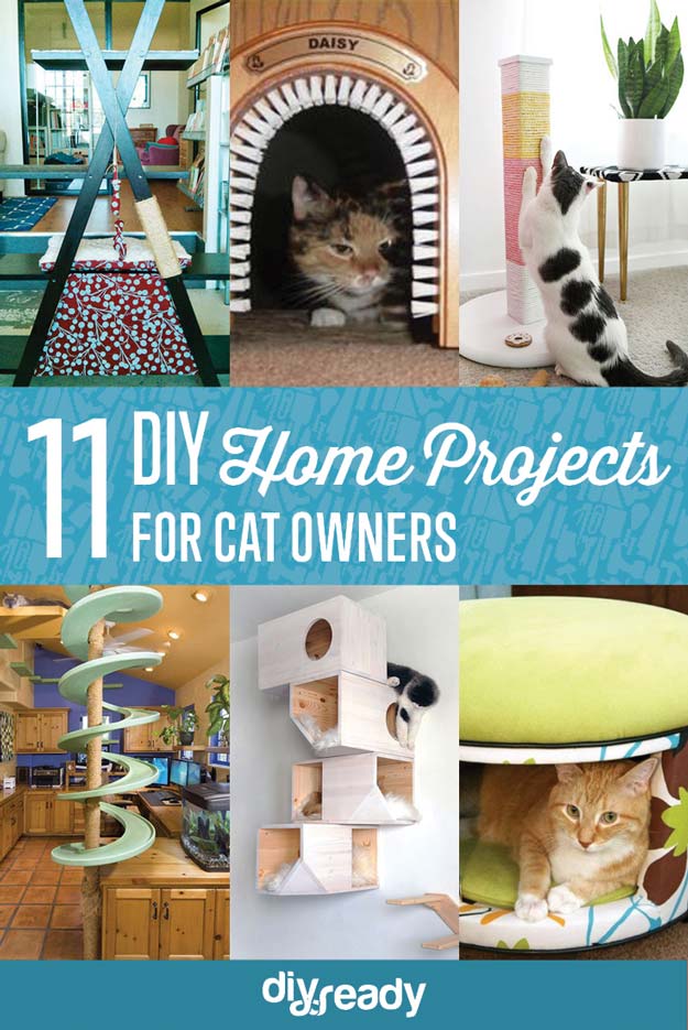 Creative Cat DIY Home Projects | 25 DIY Projects Your Pet Will Love