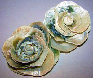 Seashell Rose | 15 Easy Seashell Crafts To Bring The Beach Indoors